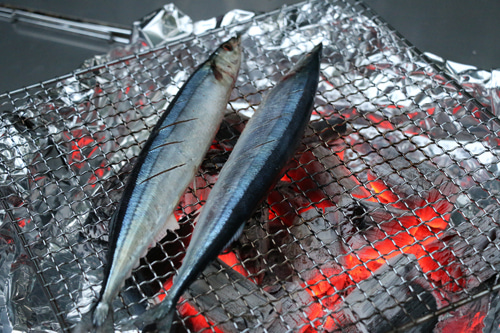秋刀魚の炭火焼