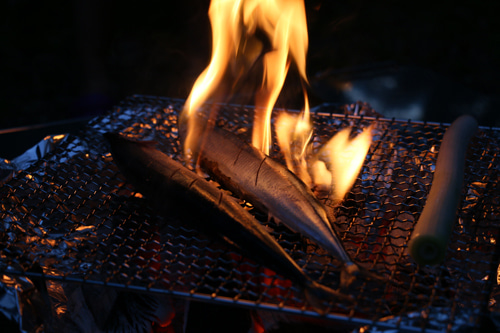 燃える秋刀魚